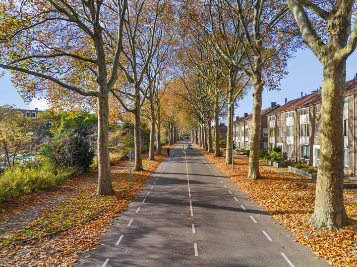 Photo 26 of Henri Hermanslaan 117