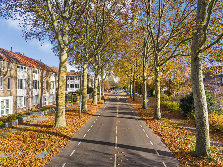 Photo 27 of Henri Hermanslaan 117