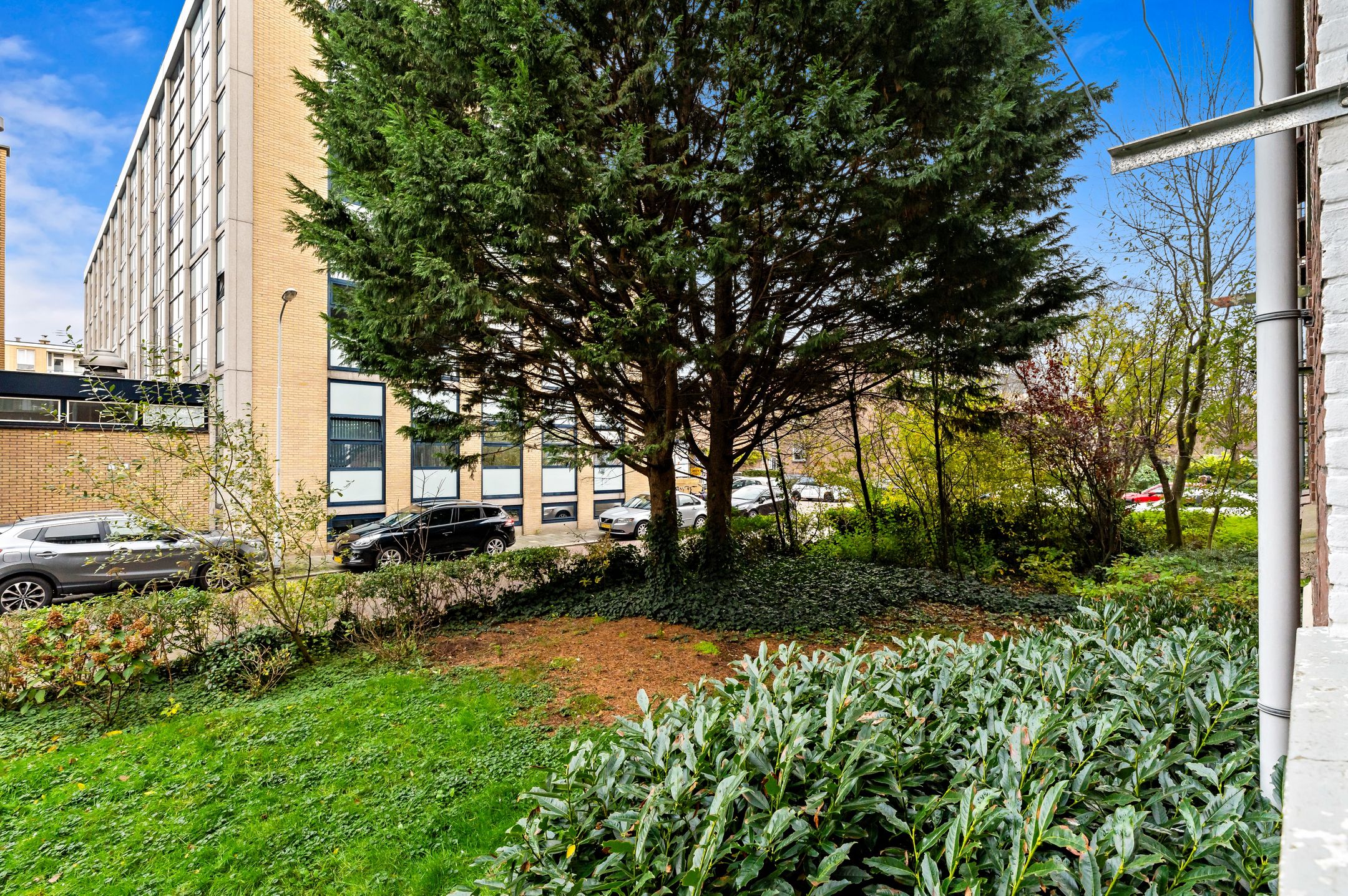 Foto 12 van Albert Verweystraat 74