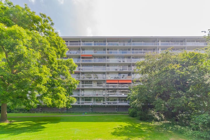 Foto 1 van Sint Philipsland 45