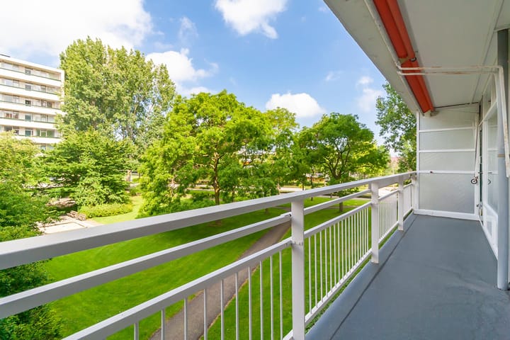 Foto 21 van Sint Philipsland 45