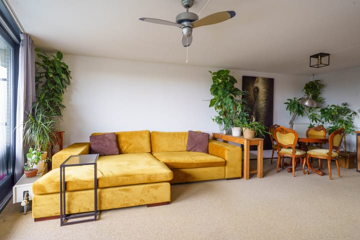 Photo 5 of Jacob van Ruysdaelstraat 142