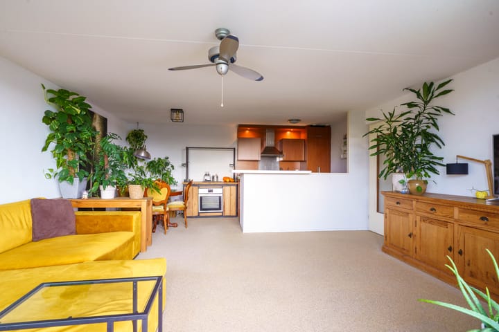 Photo 6 of Jacob van Ruysdaelstraat 142