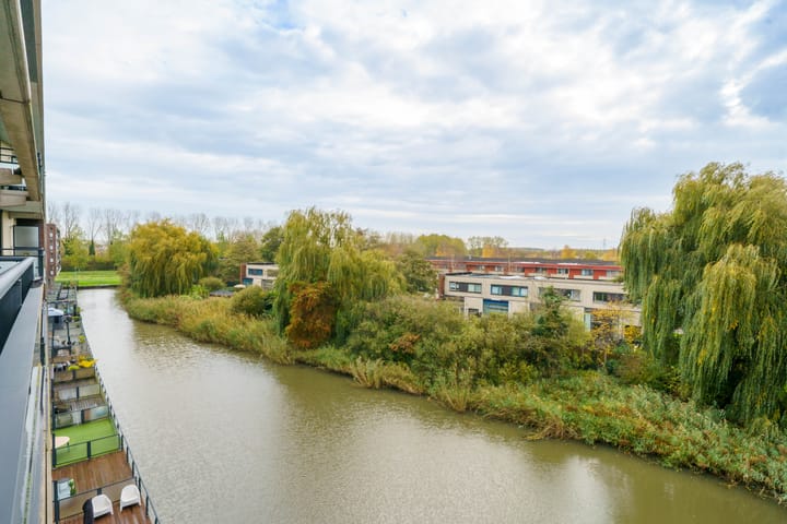 Photo 21 of Jacob van Ruysdaelstraat 142