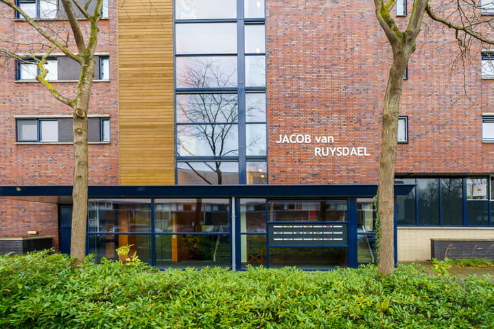 Photo 28 of Jacob van Ruysdaelstraat 142