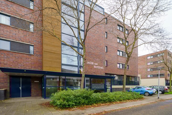 Photo 29 of Jacob van Ruysdaelstraat 142