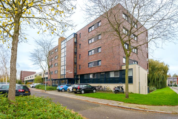 Photo 30 of Jacob van Ruysdaelstraat 142