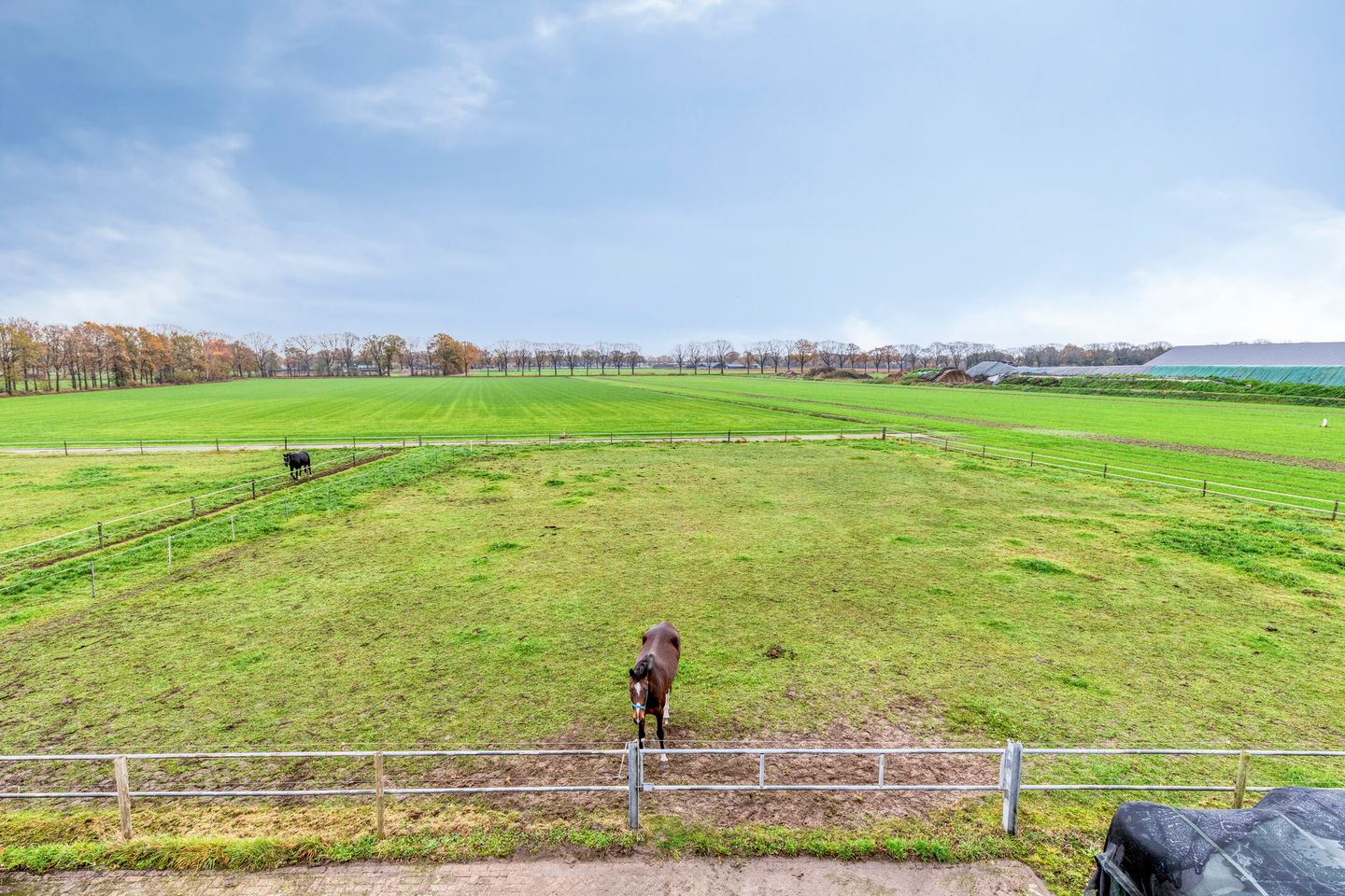 Foto 4 van Vlagberg 29