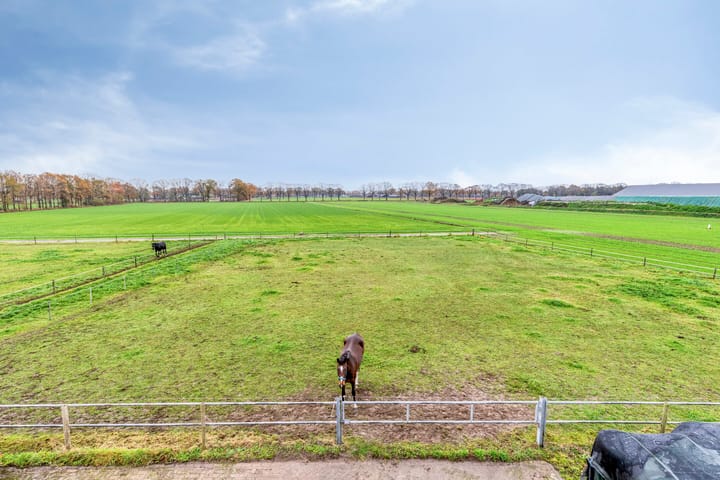 Photo 4 of Vlagberg 29