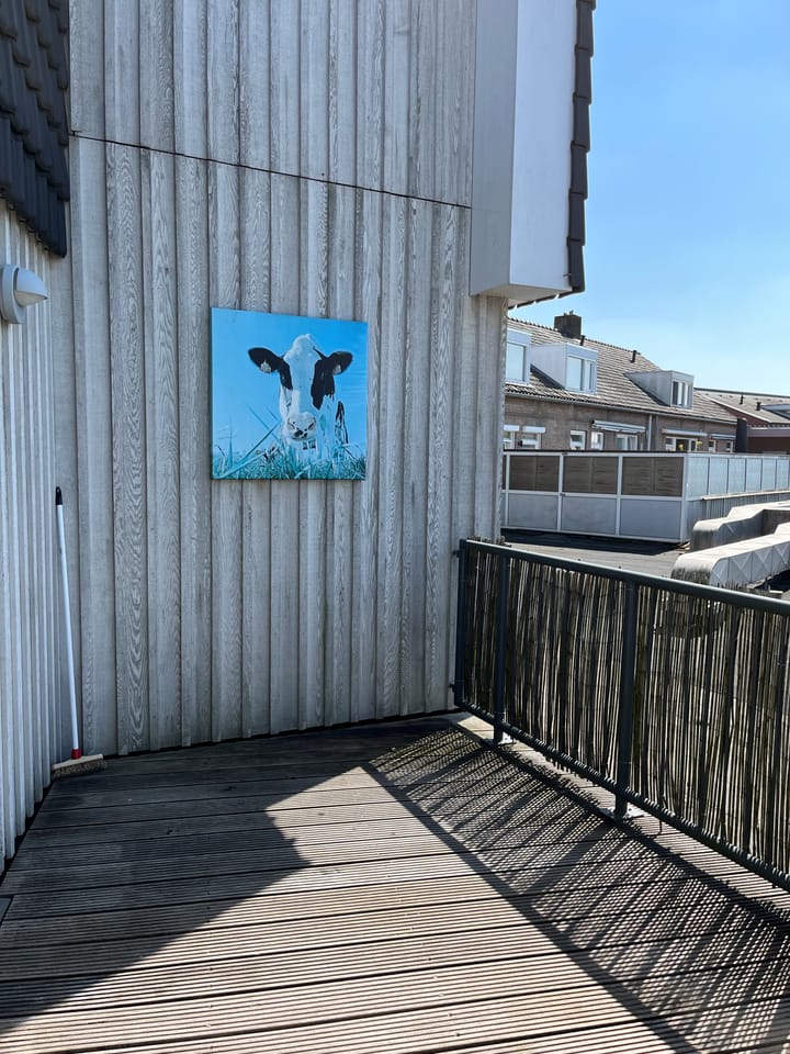 Photo 15 of Ellenaar 5-C