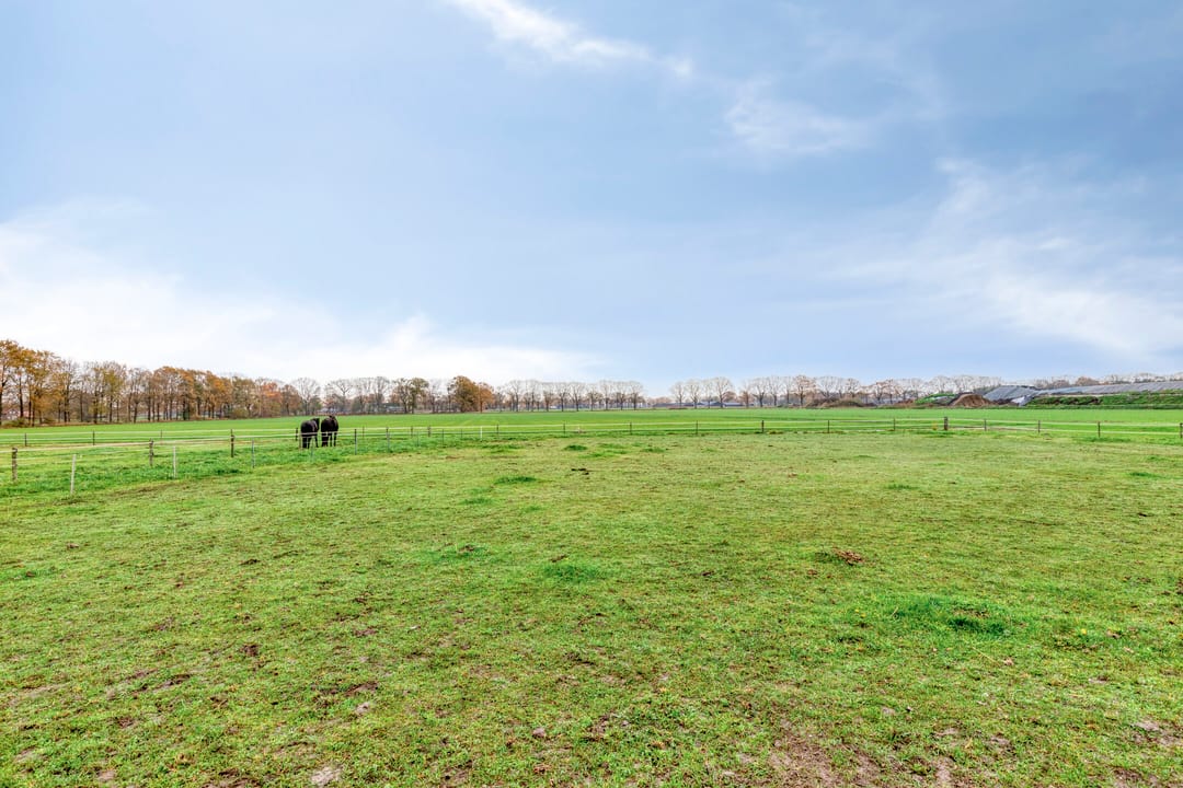 Foto 53 van Vlagberg 29