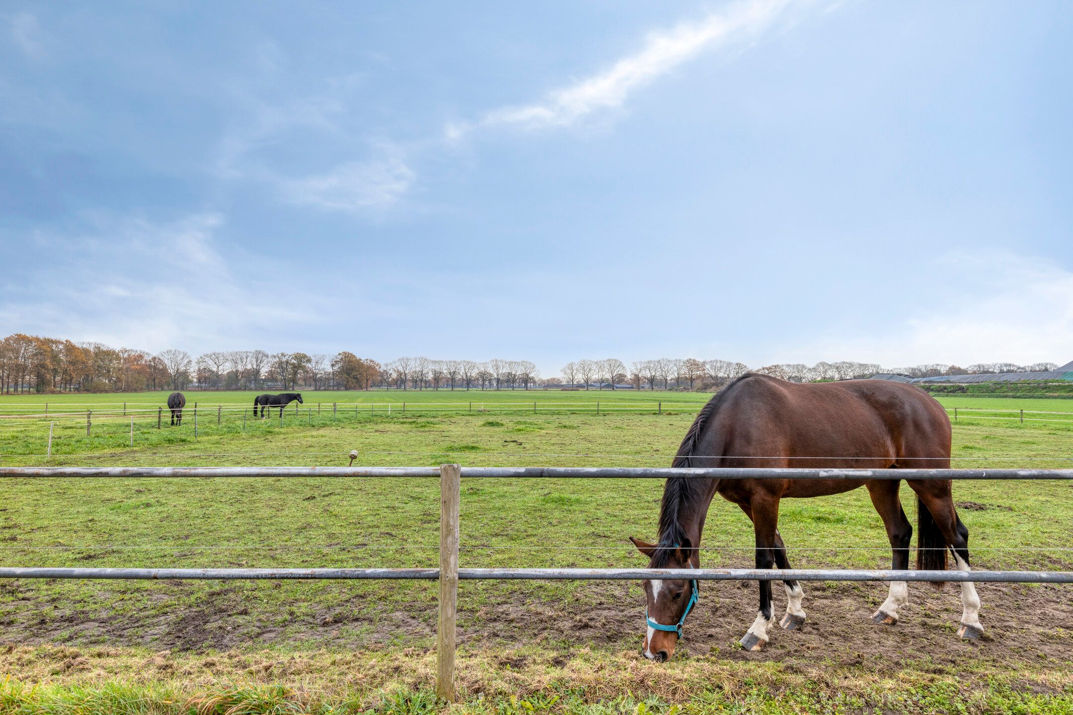 Foto 54 van Vlagberg 29