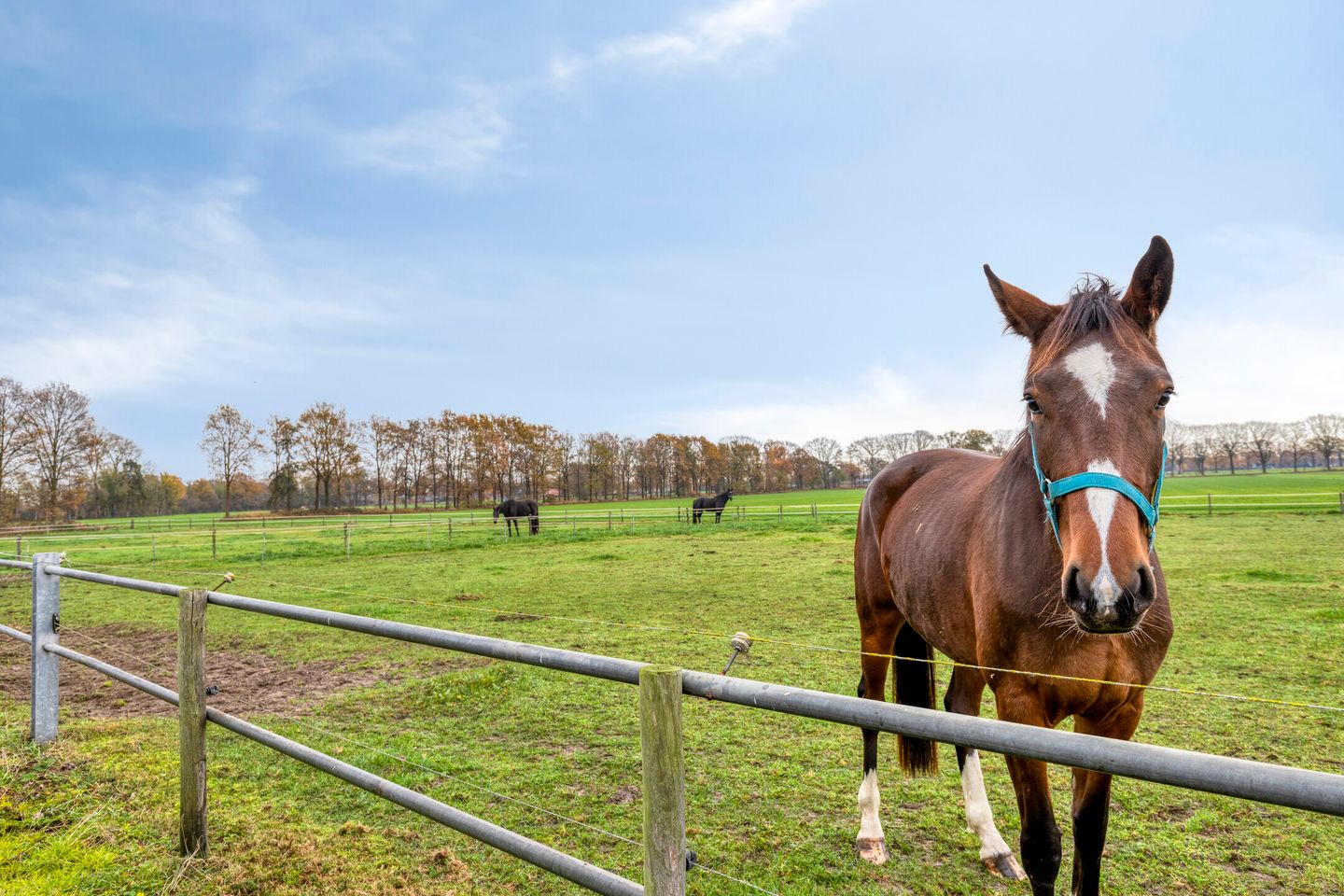 Foto 55 van Vlagberg 29