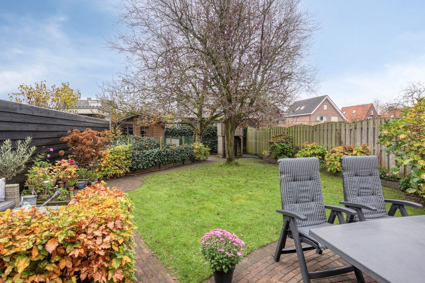 Photo 5 of Vuurvlinderronde 4