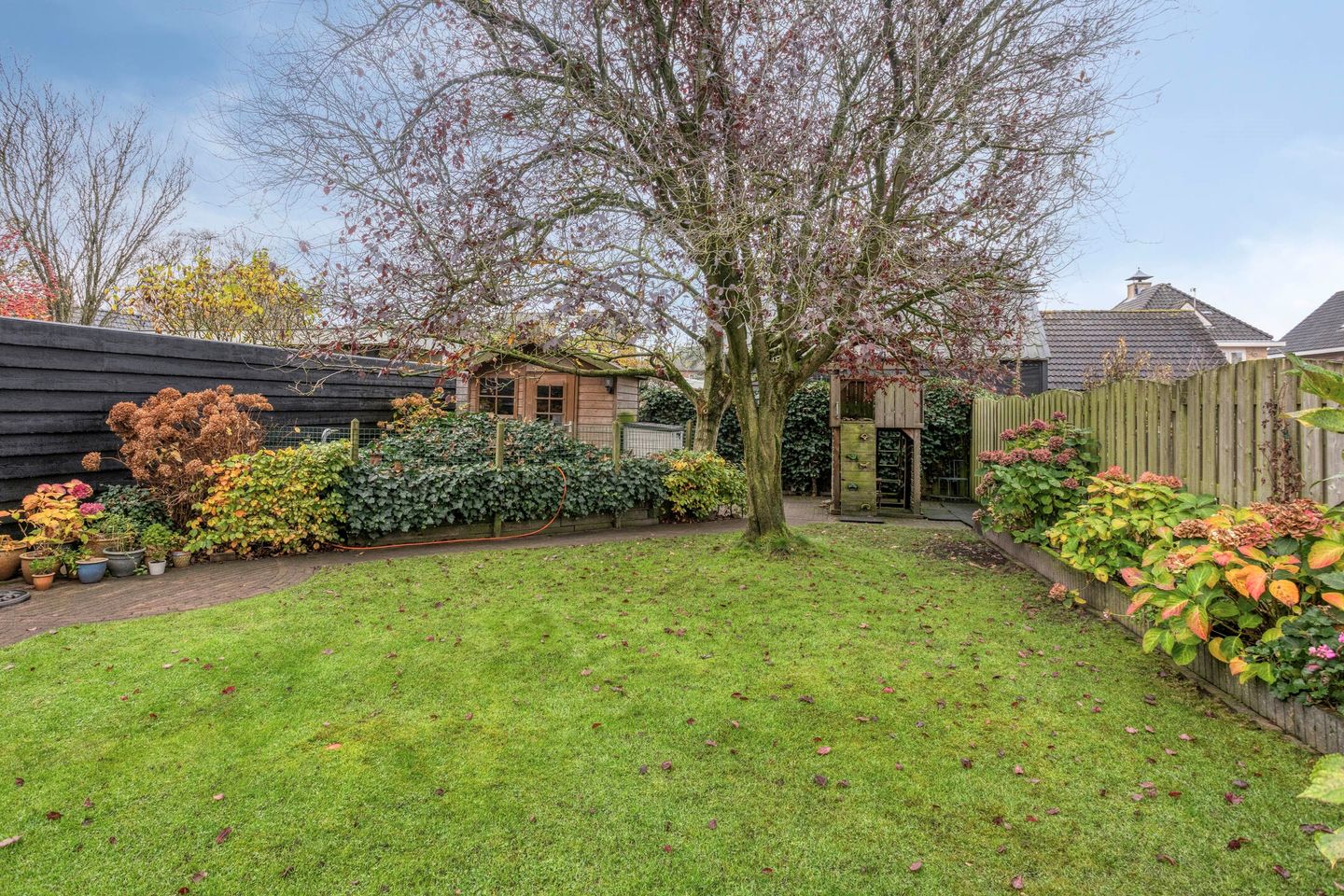 Photo 44 of Vuurvlinderronde 4