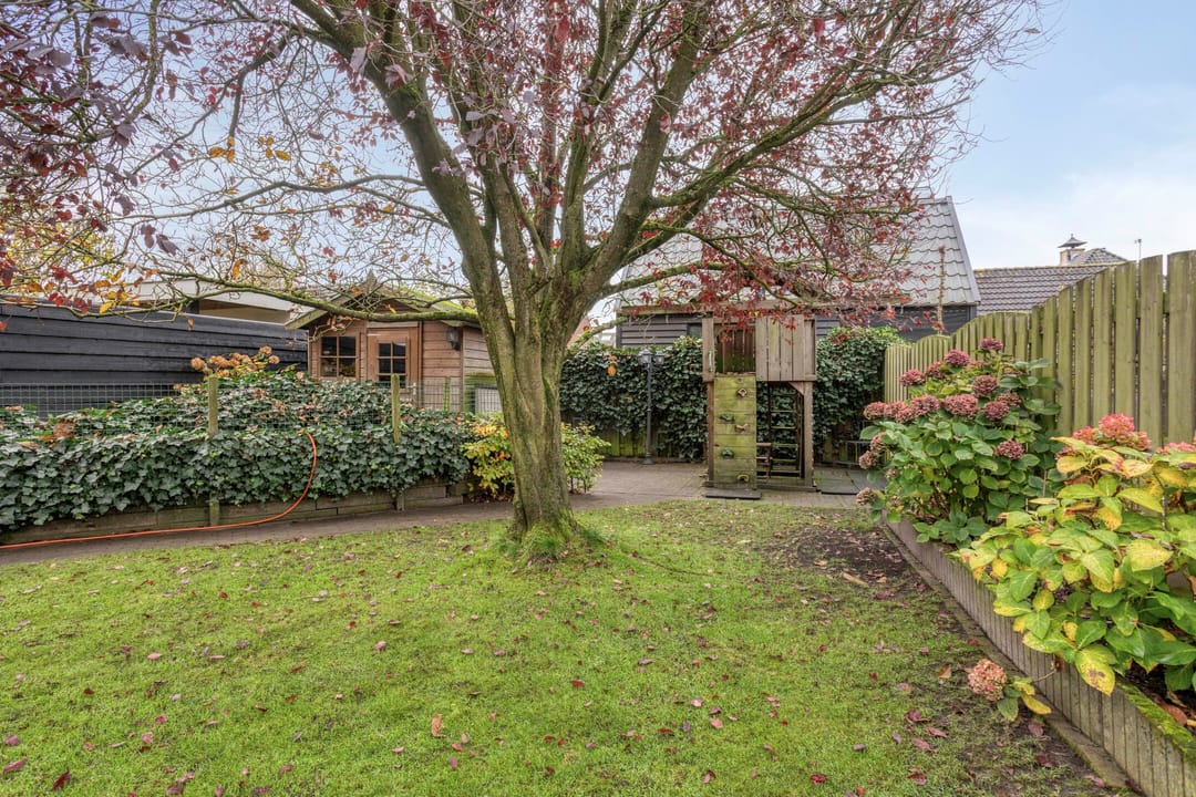 Photo 46 of Vuurvlinderronde 4