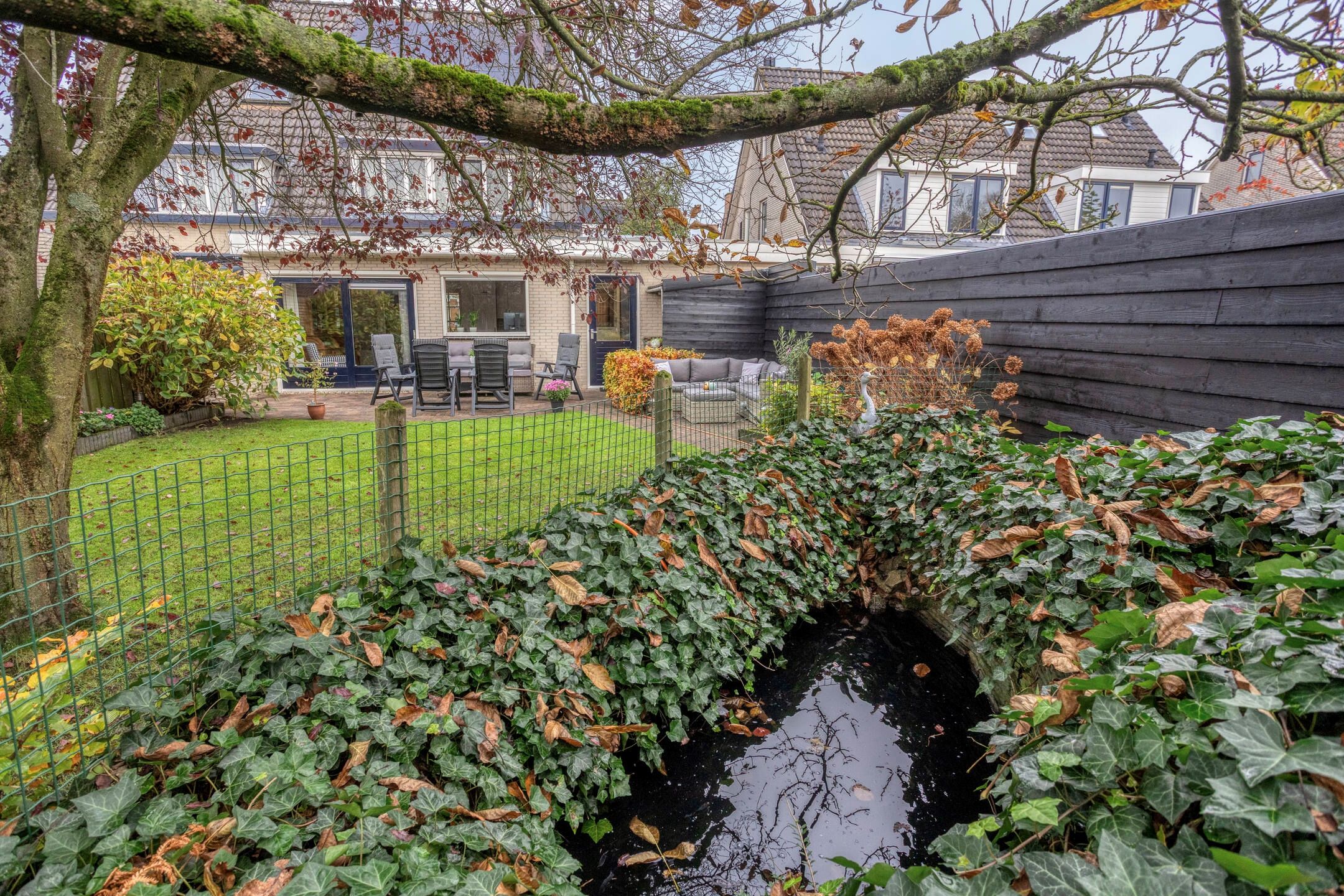 Photo 48 of Vuurvlinderronde 4