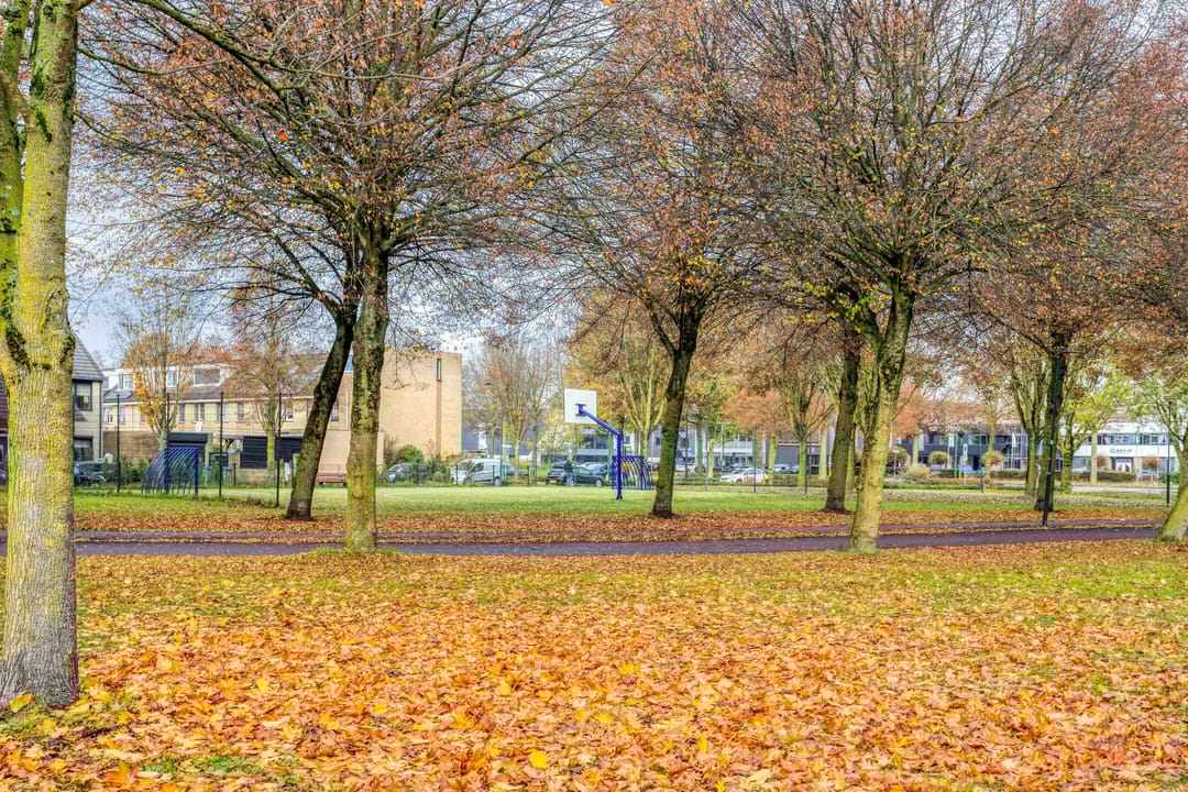 Photo 53 of Vuurvlinderronde 4