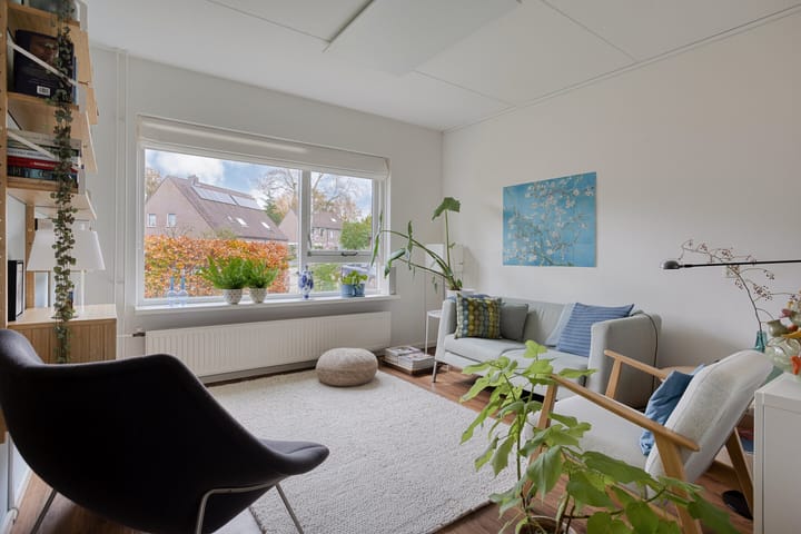 Photo 12 of Strengakkers 2