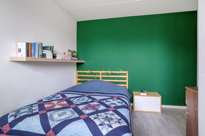 Photo 27 of Strengakkers 2