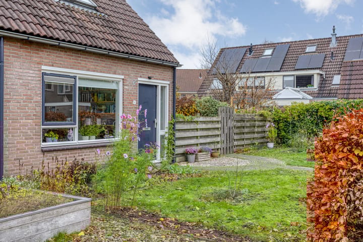 Photo 41 of Strengakkers 2