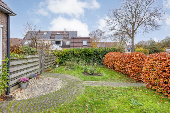 Photo 38 of Strengakkers 2