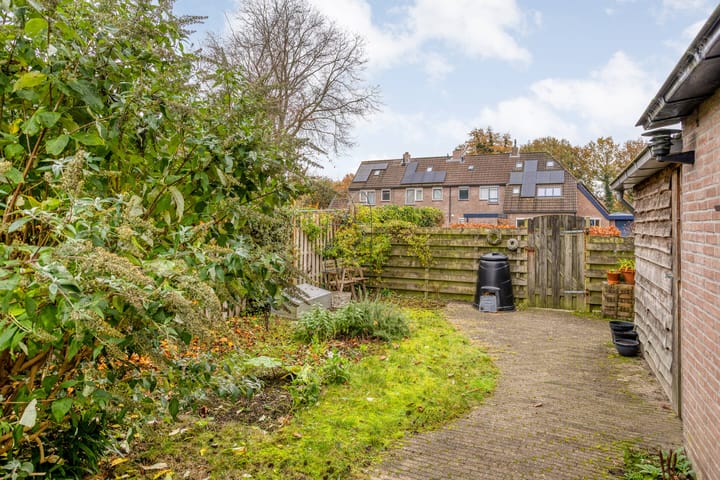 Photo 39 of Strengakkers 2