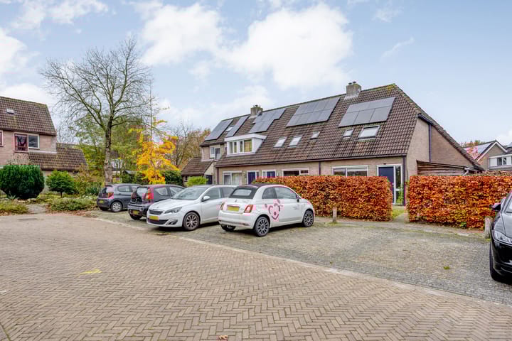 Photo 43 of Strengakkers 2