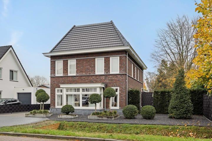 Foto 7 van Pijlkruid 7