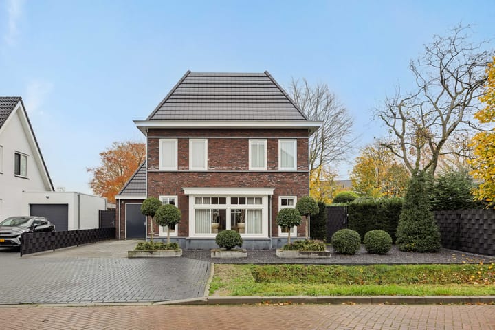 Foto 6 van Pijlkruid 7