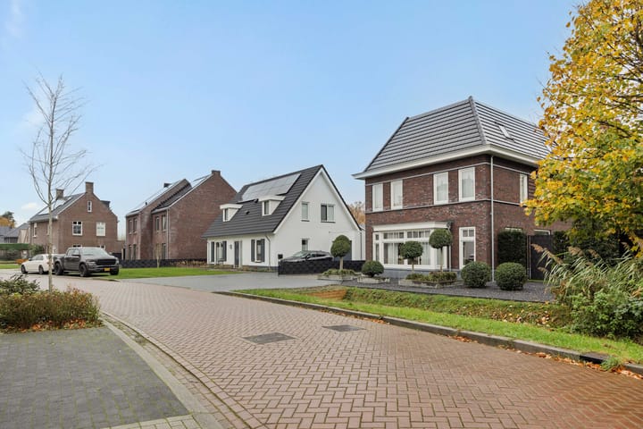 Foto 79 van Pijlkruid 7