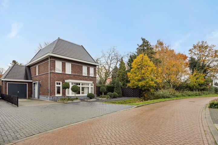 Foto 80 van Pijlkruid 7