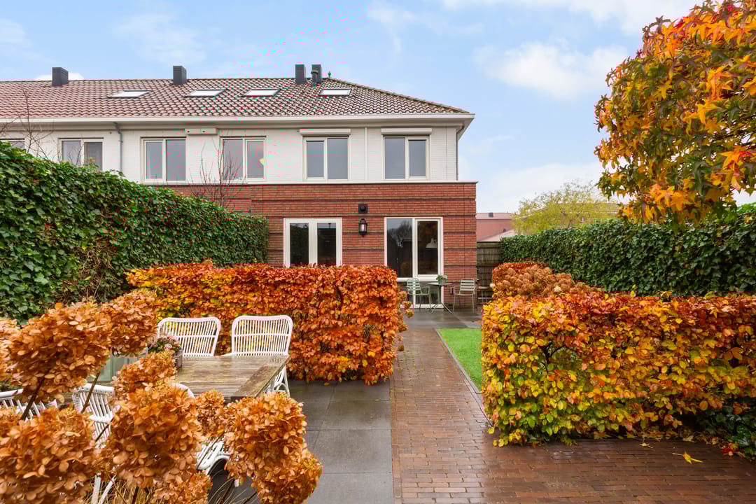 Foto 2 van Vitruvius 1