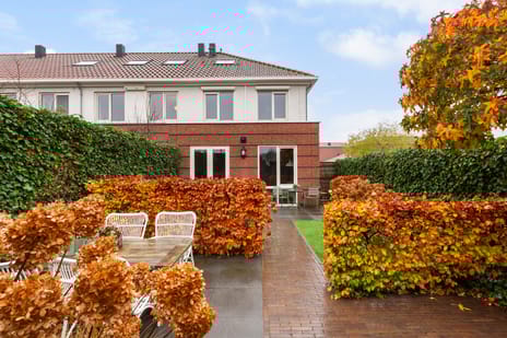 Vitruvius 1 secondary image