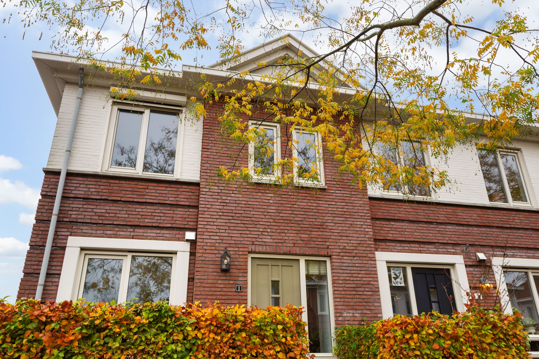 Foto 3 van Vitruvius 1