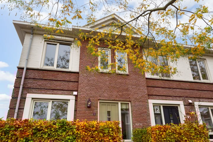 Foto 3 van Vitruvius 1