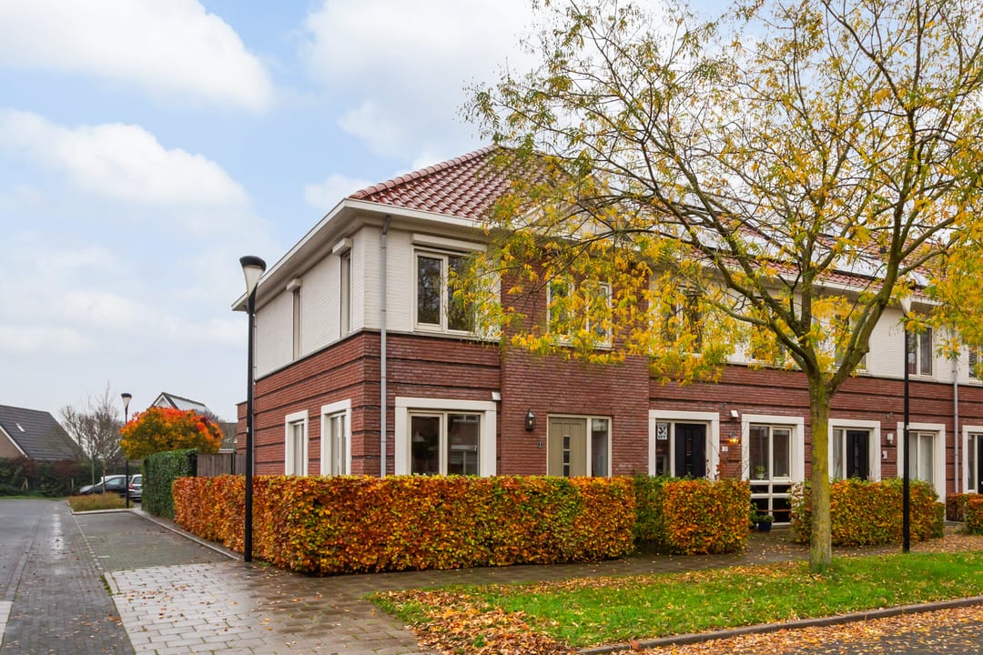 Foto 1 van Vitruvius 1