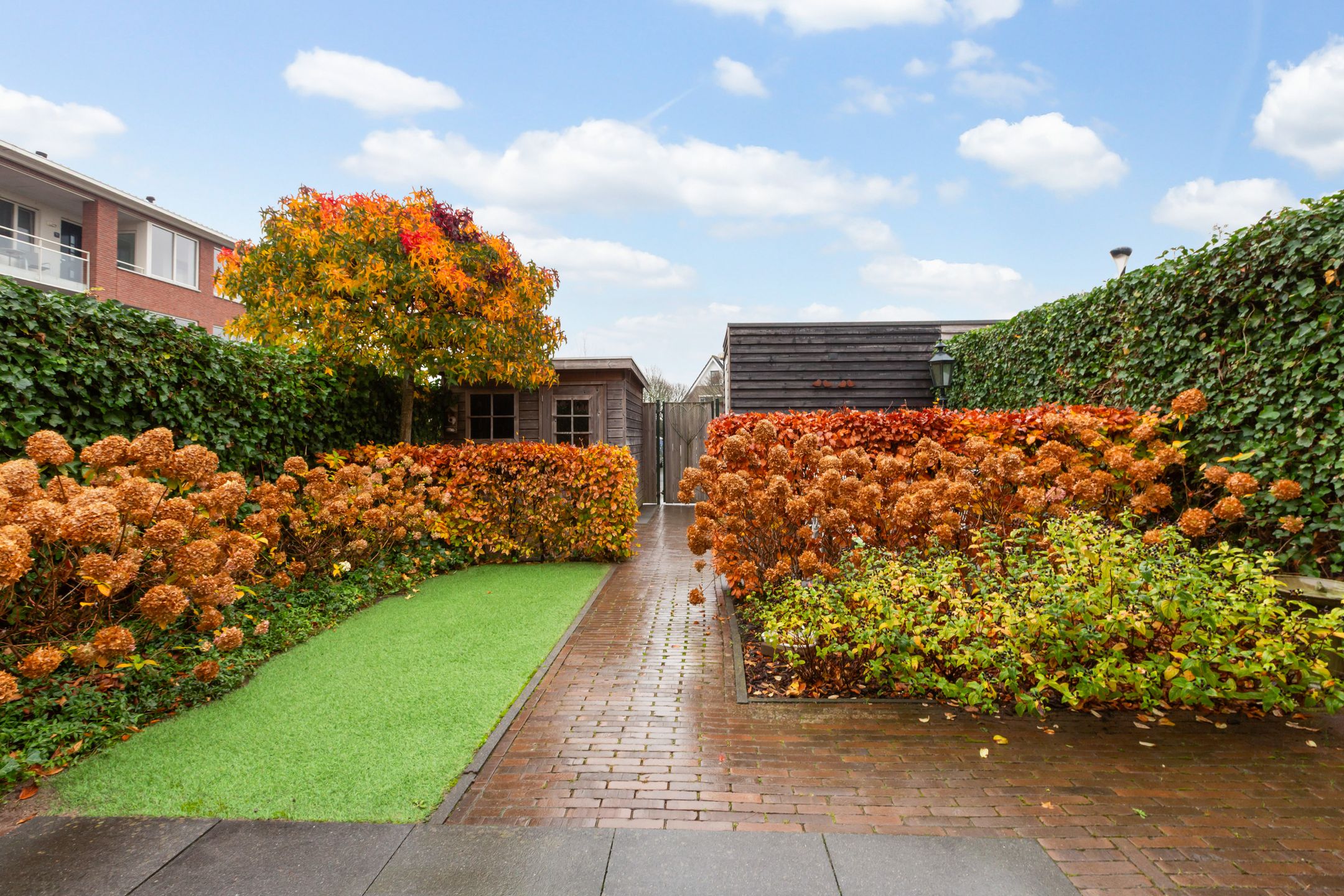 Foto 36 van Vitruvius 1