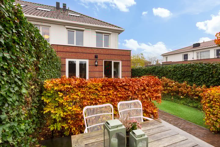 Foto 40 van Vitruvius 1