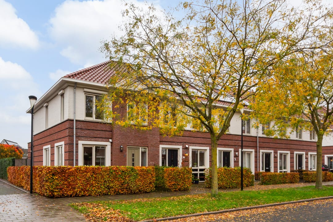 Foto 43 van Vitruvius 1