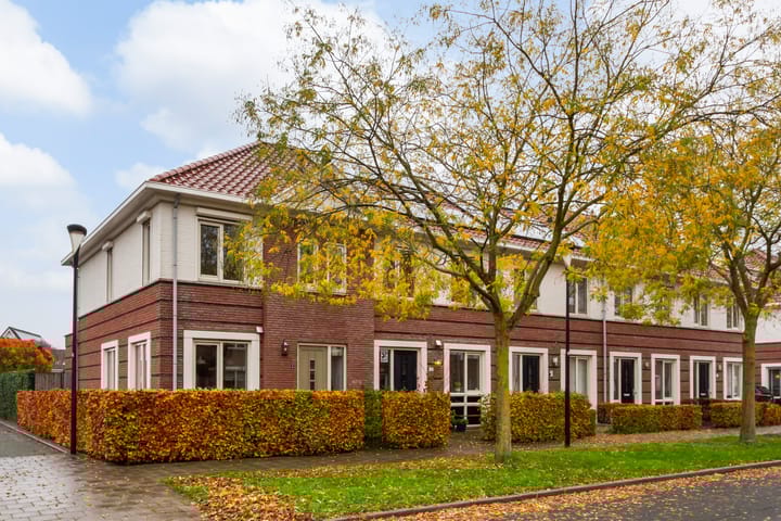 Foto 43 van Vitruvius 1