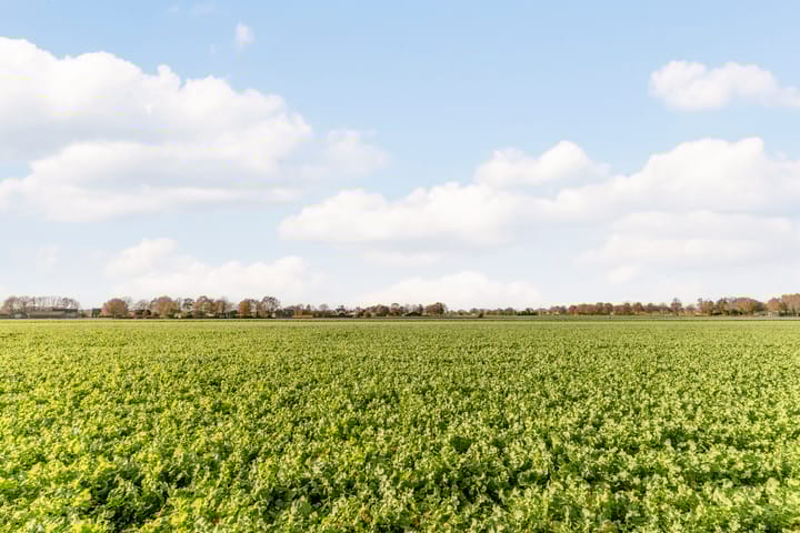 Foto 68 van Pastoor Coomansstraat 19