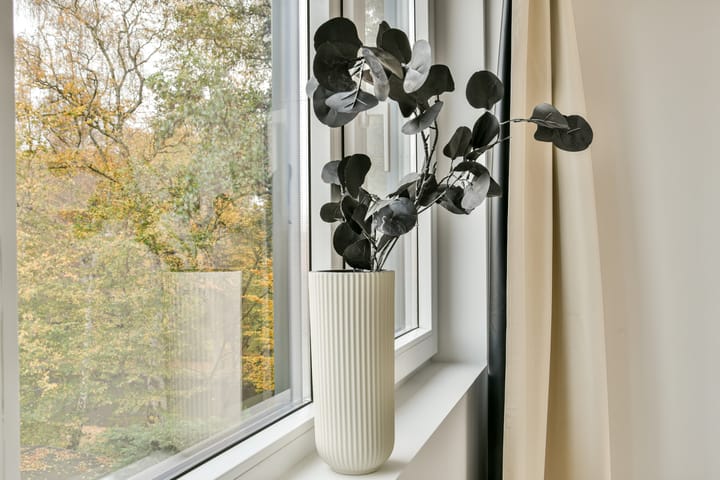 Photo 31 of Gerard Doulaan 8