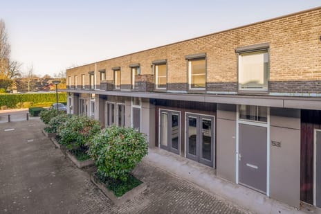 undefined main image