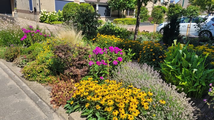 Photo 45 of Griegstraat 2