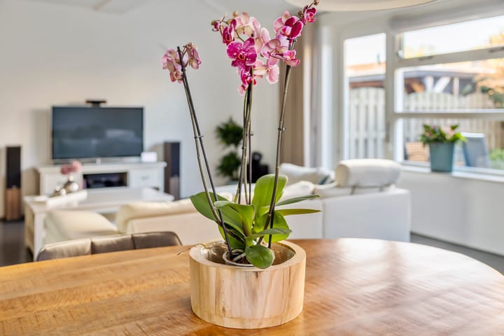 Photo 9 of Hazenleger 30