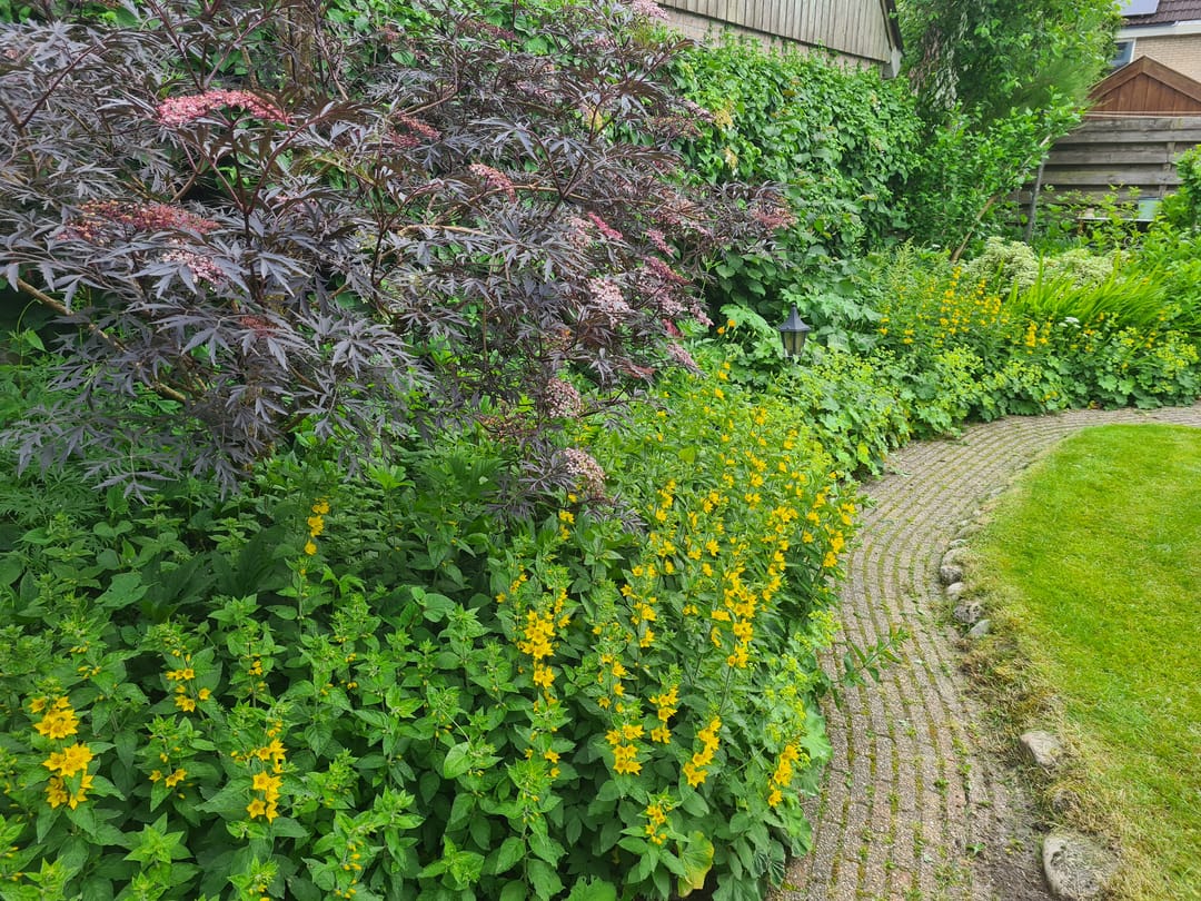 Foto 28 van Koningin Julianastraat 80