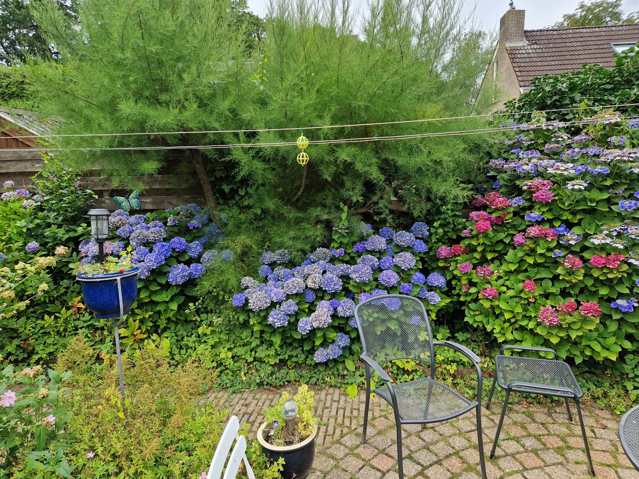 Foto 30 van Koningin Julianastraat 80