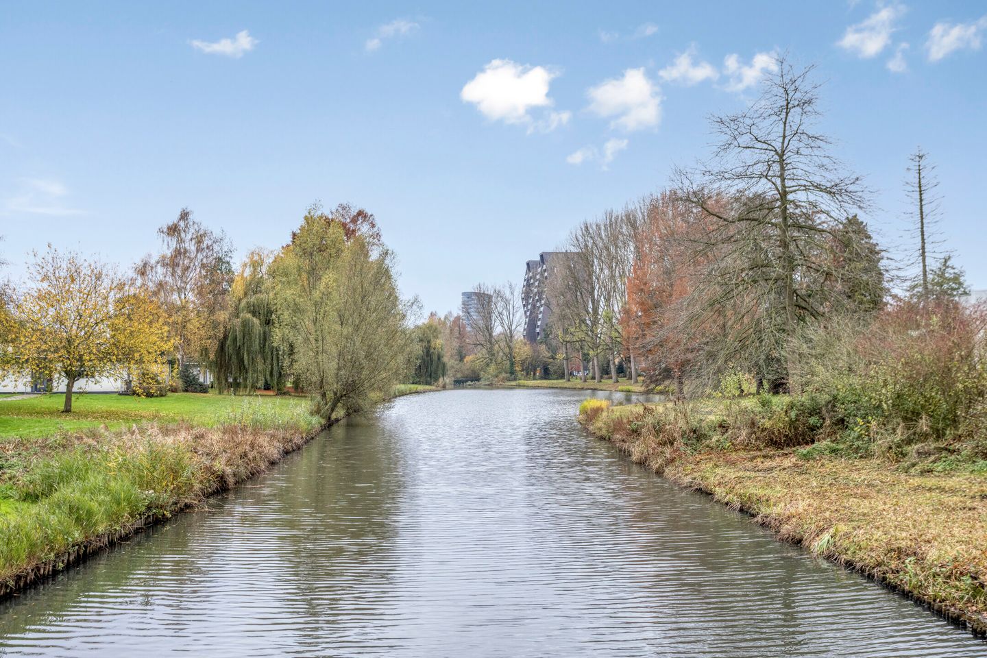 Photo 50 of Remuslaan 64