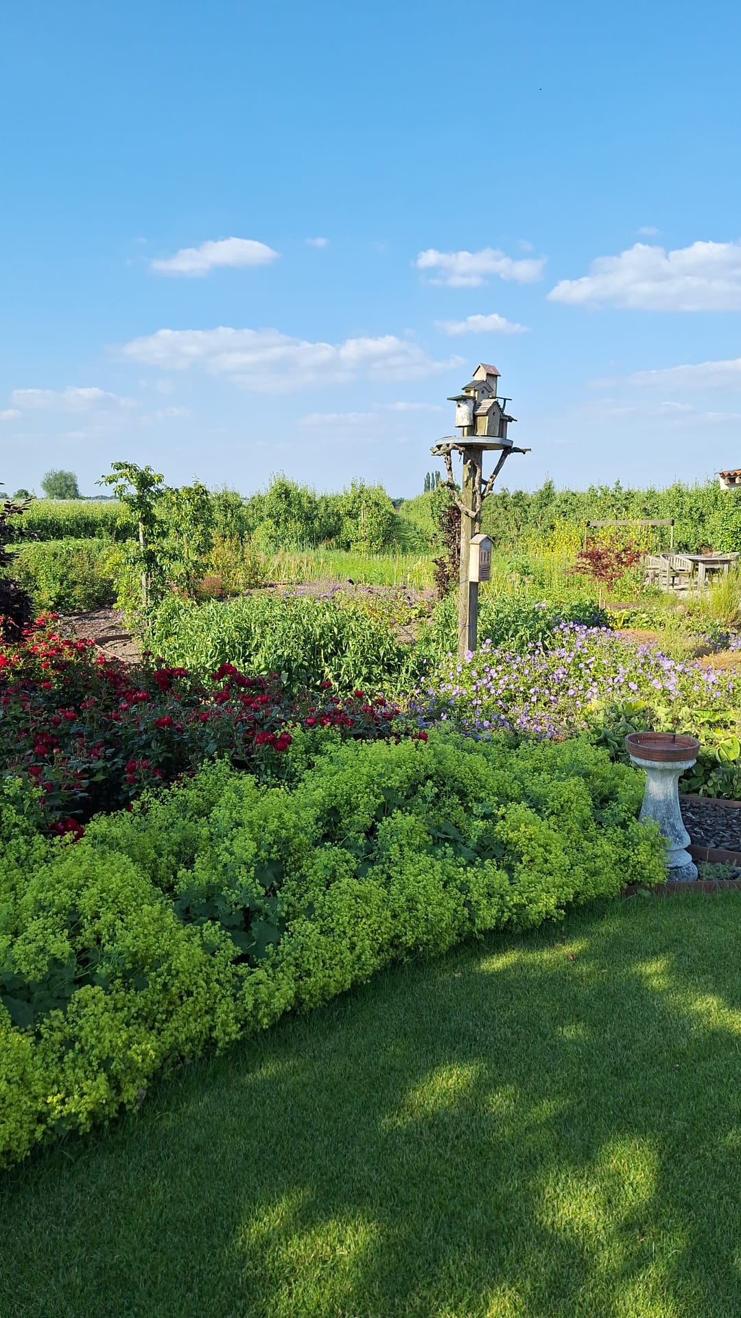 Photo 44 of Wijkersloot 8